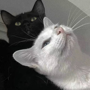 美女光溜溜图片视频素材
