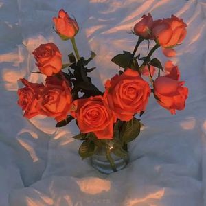 美女光溜溜图片视频素材
